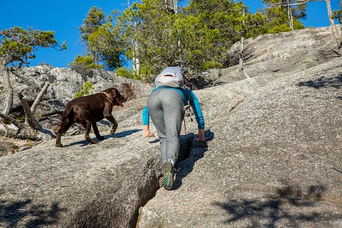 Stawamus Chief Hike & Local Brewery Tasting - Price and Logistics: what $175.85 buys you