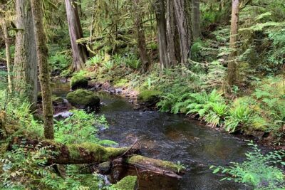 Sunshine Coast Escape (Around Vancouver) Small Group Tour - Gibsons Public Market and Molly’s Reach (more than just a quick stop)