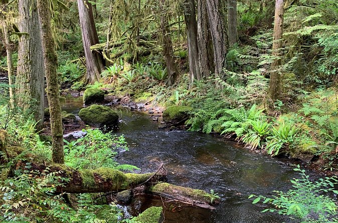 Sunshine Coast Escape (Around Vancouver) Small Group Tour - How the 6 hours play out: pace, timing, and weather reality