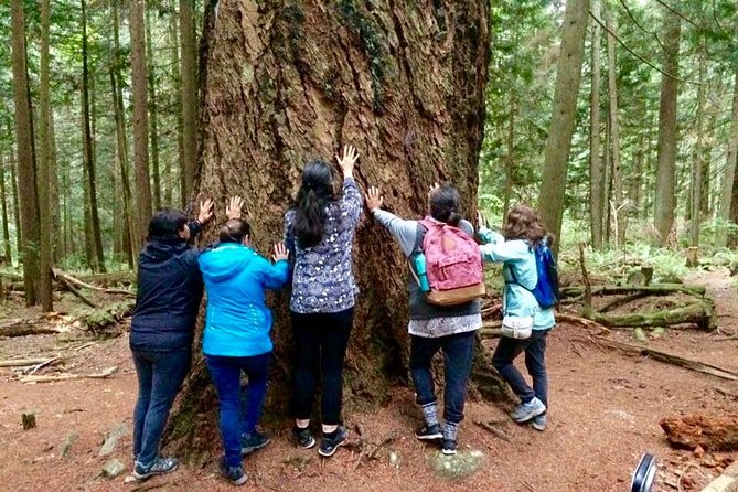 Talking Trees: Stanley Park Indigenous Walking Tour Led by a First Nations Guide - Departure times, group size, and why meeting the guide matters