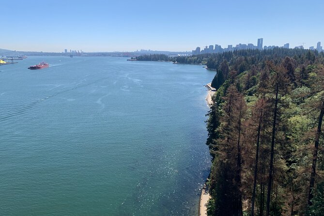The Ultimate Stanley Park E-Bike Tour - Getting Started: Pickup, Small Group Energy, and Bike Confidence