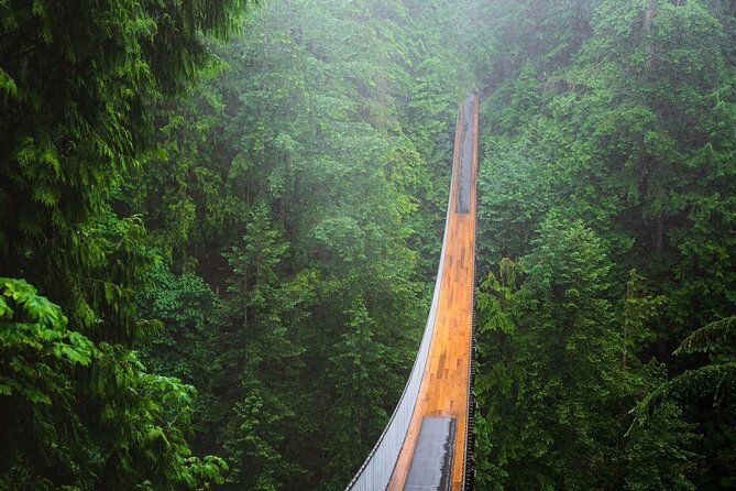 Vancouver 1-Day Tour (Granville Island/Stanley Park) (Chn&Eng) - FlyOver Canada and the timing question