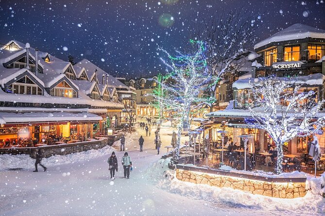 Vancouver Airport Transfer to Vancouver/Whistler (Special Offer) - Luggage rules: keep it simple to keep the ride simple
