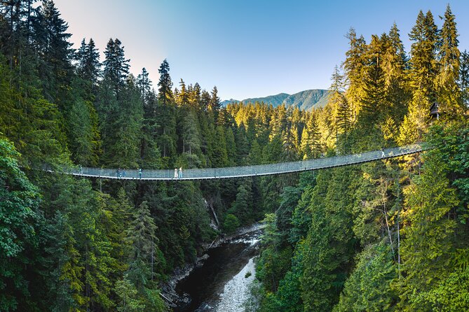 Vancouver and Capilano Suspension Bridge, a Soft Adventure Tour - Stanley Park: Totem Poles, Hallelujah Point, and city skyline payoff