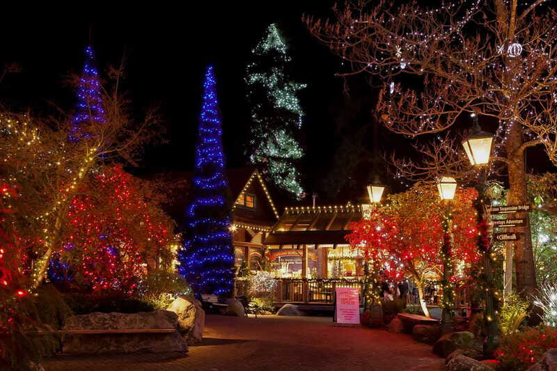 Vancouver and Capilano Suspension Bridge Canyon Lights - What you’re really paying for: $130 value in 5 hours