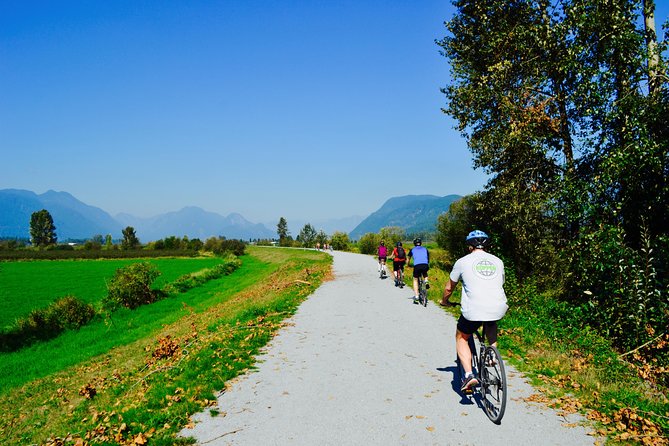 Vancouver Biking and Hiking Tour including Lunch - Lynn Canyon Park: rainforest loop, 150-foot bridge, and First Nations context