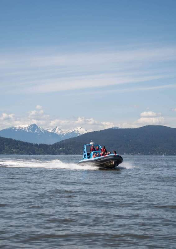 Vancouver: Boat to Bowen Island on UNESCO Howe Sound Fjord - Seal colonies up close: what to watch from the water