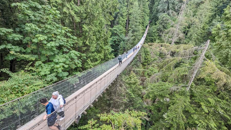Vancouver: Capilano Bridge, Cleveland Dam & Lynn Canyon Tour - Key highlights you’ll actually care about
