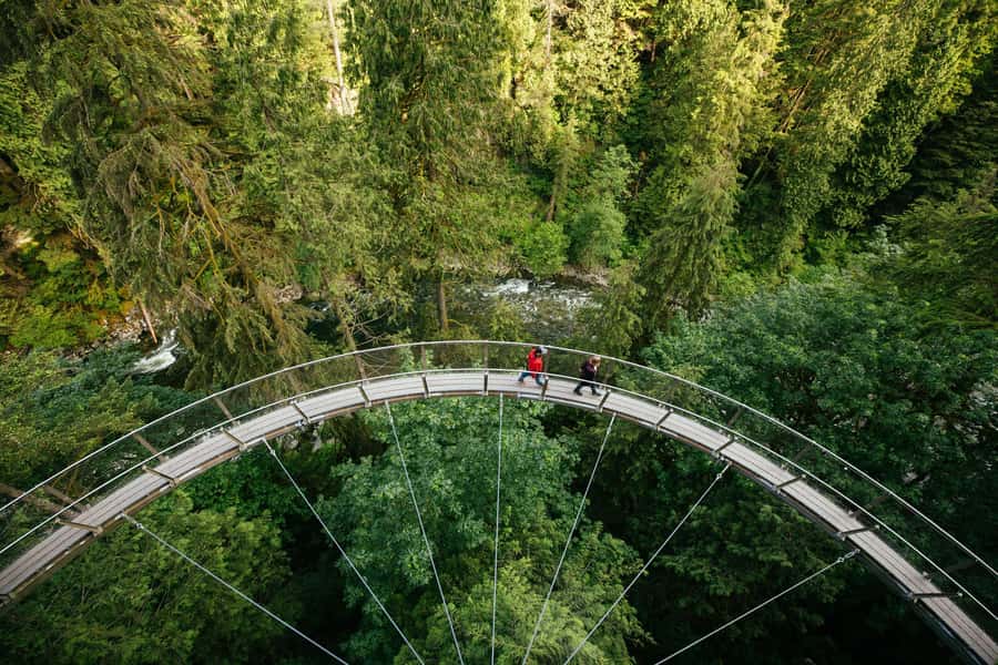 Vancouver: Capilano Bridge, Cleveland Dam & Lynn Canyon Tour - Why this North Shore loop makes sense in 6.5 hours
