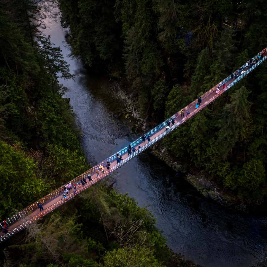 Vancouver: Capilano Bridge, Cleveland Dam & Lynn Canyon Tour - Capilano Suspension Bridge Park: 137 metres of river-above-something-real