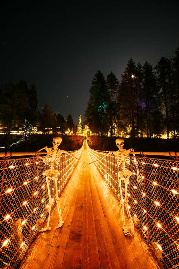 Vancouver: Capilano Bridge, Cleveland Dam & Lynn Canyon Tour - Price and value: what $136 really buys (and what to double-check)