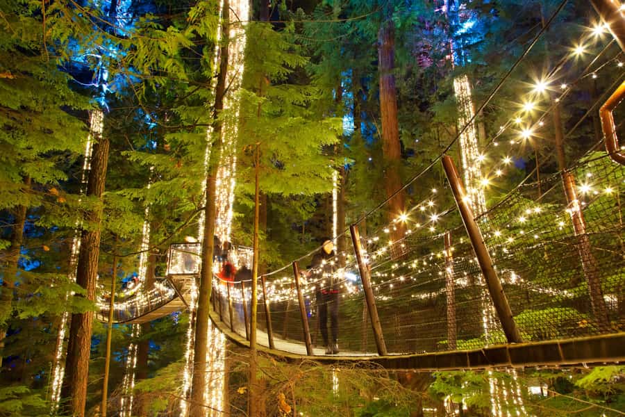 Vancouver: Capilano Bridge, Cleveland Dam & Lynn Canyon Tour - My booking advice: should you reserve this North Shore day tour?
