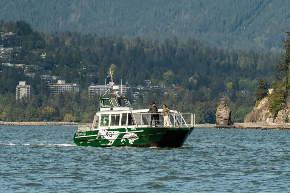 Vancouver: Catamaran Whale Watching Tour, Granville Island - Granville Island start: easy access, but arrive early