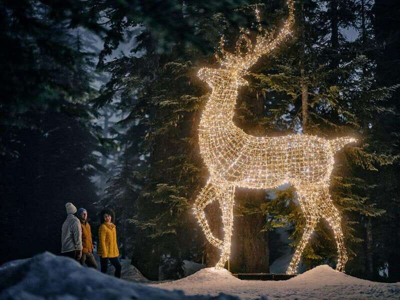 Vancouver: Christmas Lights Karaoke Trolley Tour - Practical tips: stay warm, keep your group together, and plan your expectations