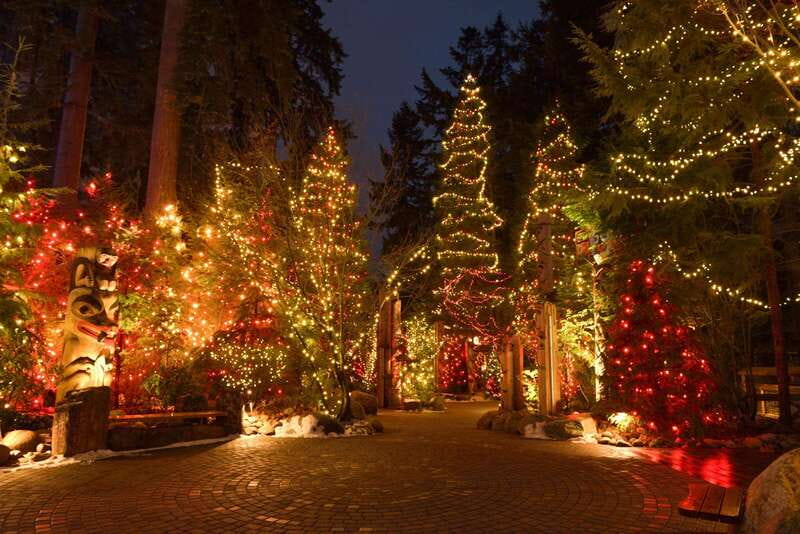 Vancouver: Christmas Lights Karaoke Trolley Tour - Stanley Park photo stop: what to do with 25 minutes