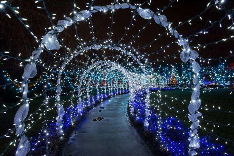 Vancouver: Christmas Lights Karaoke Trolley Tour - Price and value: what $52 buys you in winter