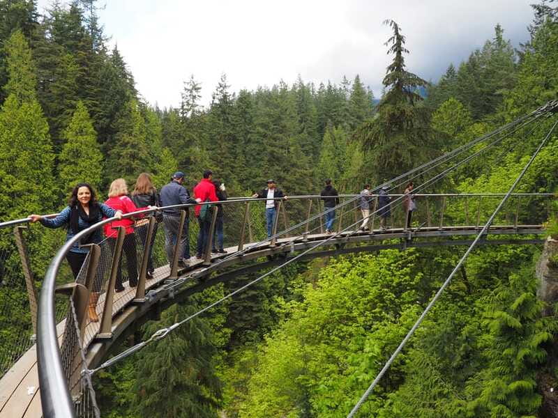 Vancouver City and Capilano Park Private Tour - Capilano Park: Suspension Bridge, Treetops Adventures, and Cliffwalk