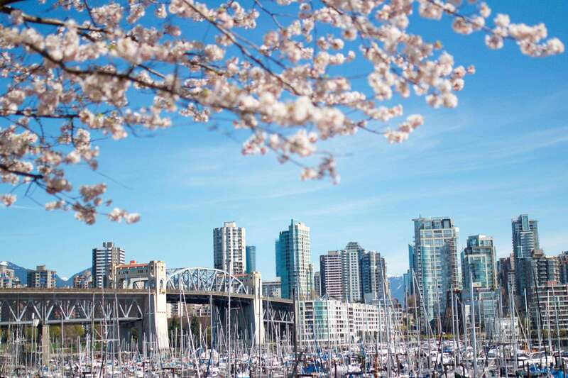 Vancouver: City & Granville Island Sightseeing Trolley Tour - Key highlights at a glance