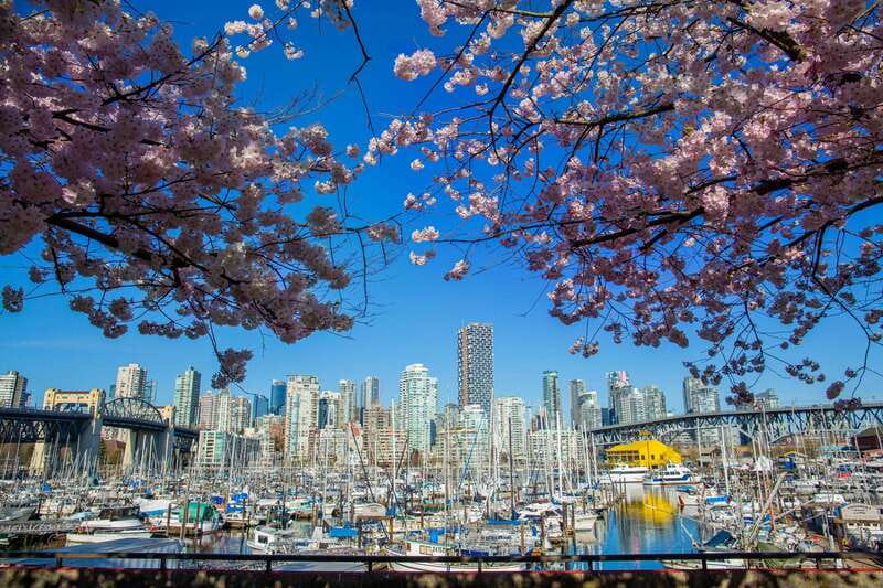 Vancouver: City & Granville Island Sightseeing Trolley Tour - Price and value: what $60 buys in four and a half hours