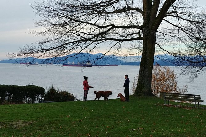 Vancouver City Highlights Explorer Private Tour - Getting the Route Right: Parks, Ocean Views, and Historic Centers