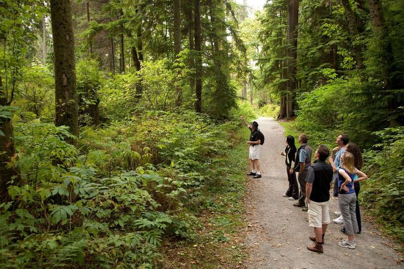 Vancouver: City + Lookout Tour & Option to Add YVR Drop-Off - Gastown and the Steam Clock Moment