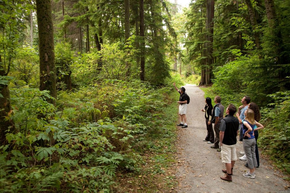 Vancouver: City + Lookout Tour & Option to Add YVR Drop-Off - Price and Value: What $83 Pays For