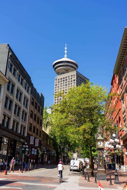 Vancouver: City Sightseeing Bus & Boat Tour - City & Seals Boat Cruise: Zodiac-Style Views Offshore