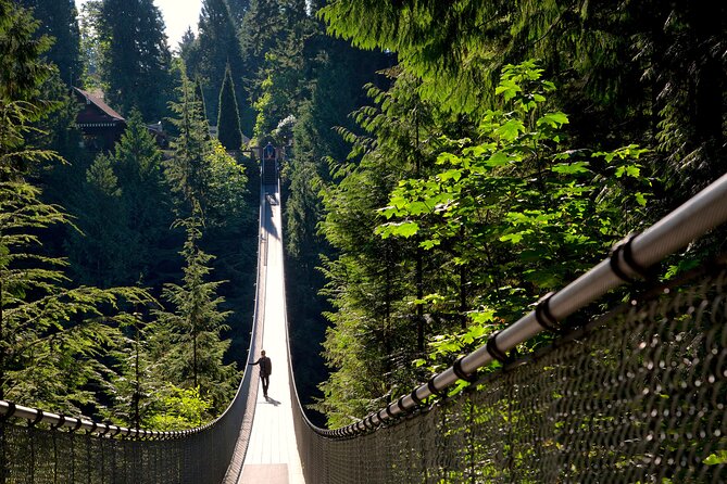 Vancouver City Sightseeing Tour: Capilano Suspension Bridge & Vancouver Lookout - Capilano Suspension Bridge Park: the bridge, Cliffwalk glass floors, and treetop platforms