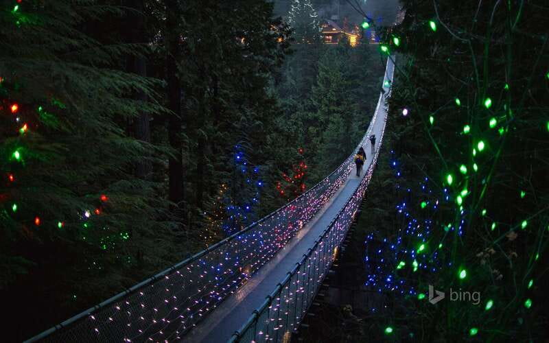 Vancouver: City Tour with Capilano Suspension Bridge - Key Points to Know Before You Go