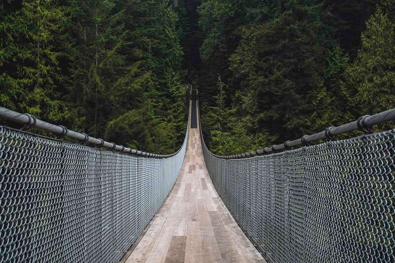 Vancouver: City Tour with Capilano Suspension Bridge - A Tight 5-Hour Loop That Covers Vancouver Without the Rush