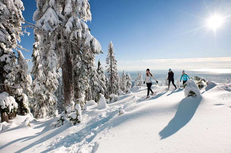 Vancouver: City Tour with Capilano Suspension Bridge - Grouse Mountain Time and Wildlife-Style Encounters