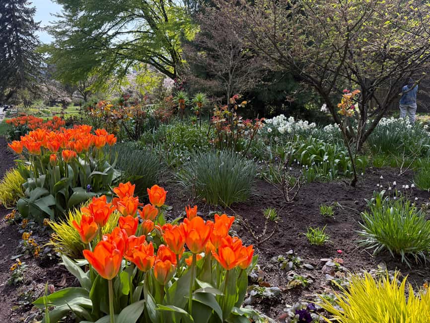 Vancouver City Tour+VipCar+Stanley Park+ChinaTown/SmallGroup - A VIP car tour is the smart way to see Vancouver fast