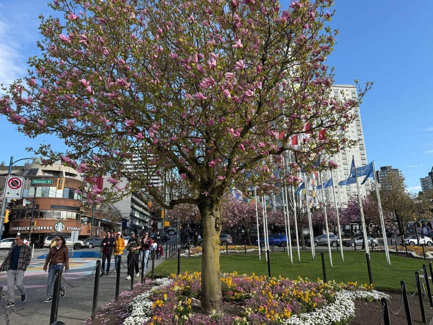 Vancouver City Tour+VipCar+Stanley Park+ChinaTown/SmallGroup - Chinatown drive-by and Coal Harbour to Canada Place: the harbor wrap-up