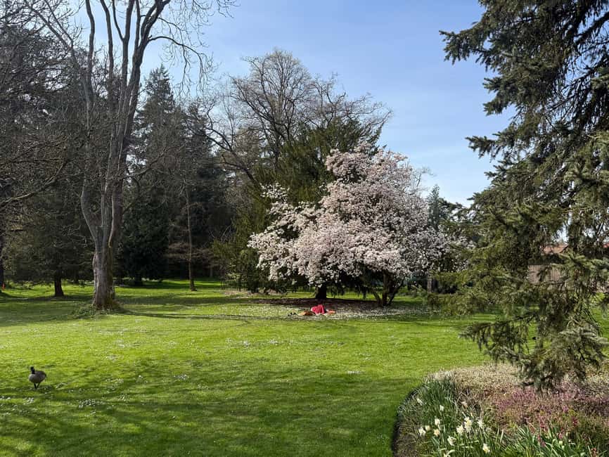 Vancouver City Tour+VipCar+Stanley Park+ChinaTown/SmallGroup - Who should book this tour, and who might want a different plan