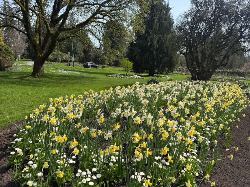Vancouver City Tour+VipCar+Stanley Park+ChinaTown/SmallGroup - Should you book? My practical take