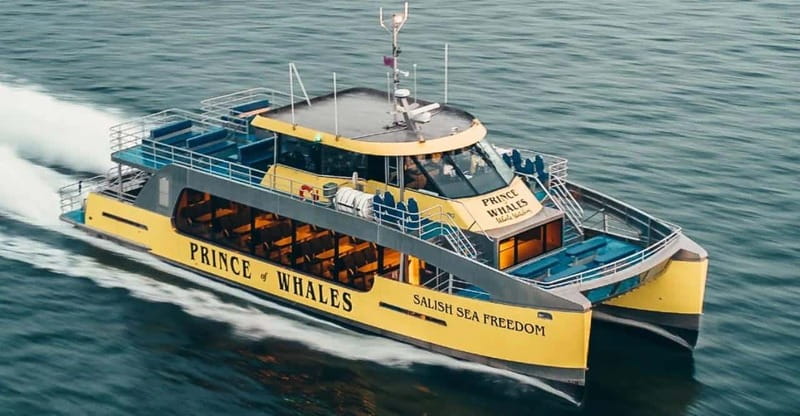 Vancouver: Covered Whale Watching Adventure with Free Photos - Timing, half-day vs sunset options, and how to dress for the real conditions