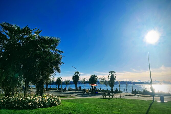 Vancouver Cruise Transfers/ Pre & Post Cruise City Sightseeing Tour Private - Price and Value: What $283.60 Is Buying You