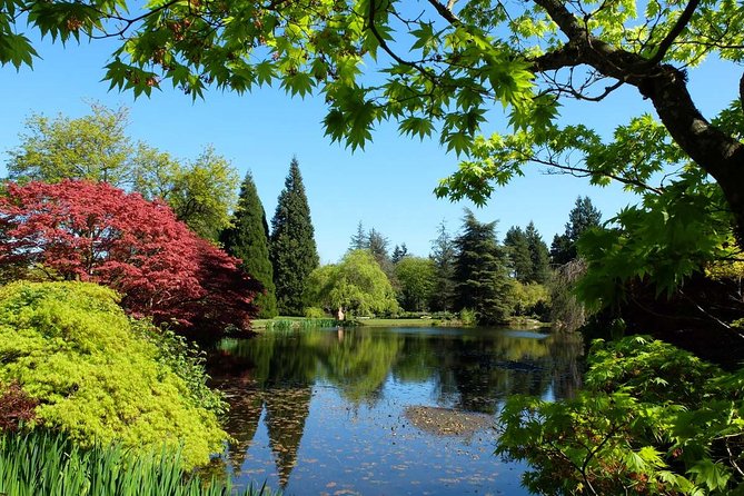 Vancouver Day Tour | Visit The Most Unique Places! Private - Stanley Park: totem poles, lighthouse views, and the Hollow Tree