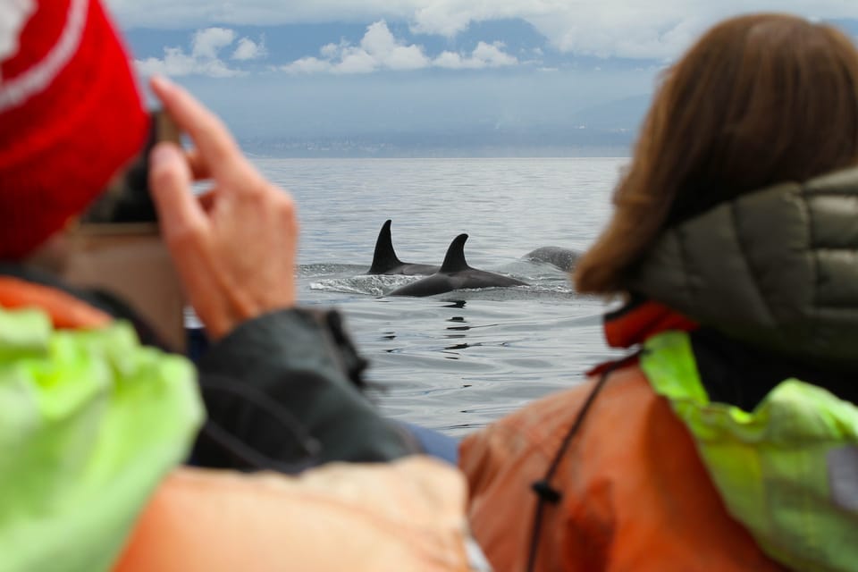 Vancouver: Day Trip to Victoria Seaplane with Whale Watching - Victoria’s Inner Harbour and downtown time: what to do with your free hours