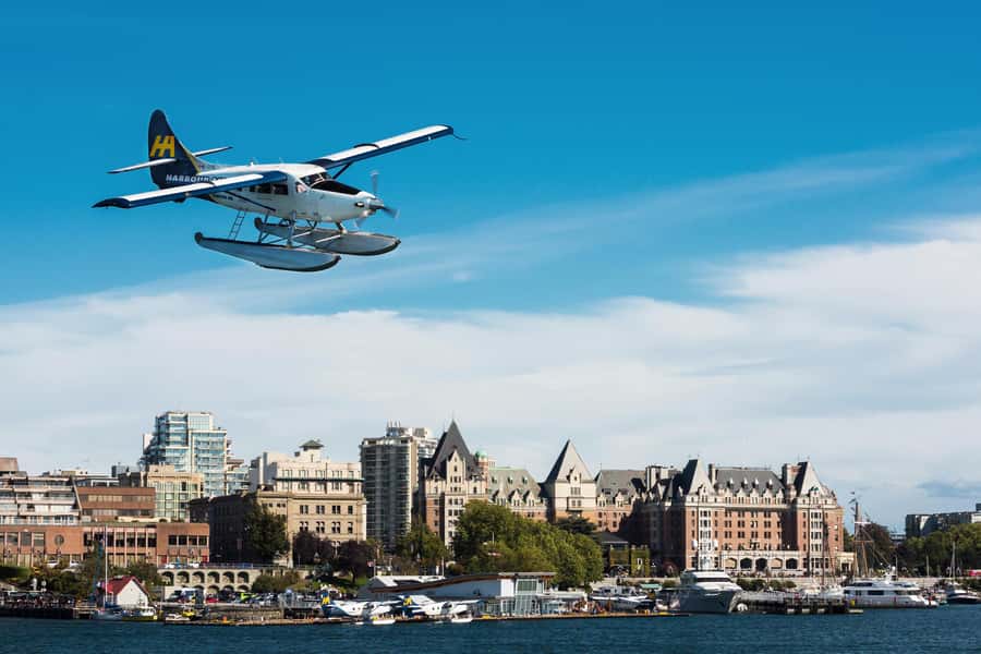 Vancouver: Day Trip to Victoria Seaplane with Whale Watching - Who should book this seaplane + whale day