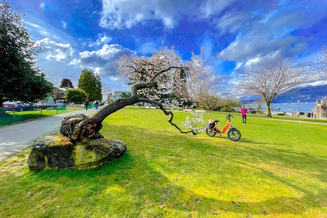 Vancouver E-Bike Rentals - Premium Seawall Bike Path Location - Where Breaks Fit: Cafes, Shopping, and Photo Time