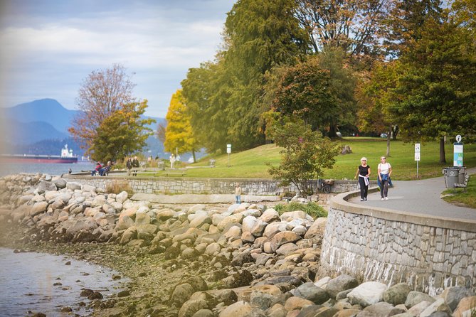 Vancouver Evening Tour: Stanley Park & English Bay Photostops - Stanley Park drive-by: a lot of green, but limited time inside