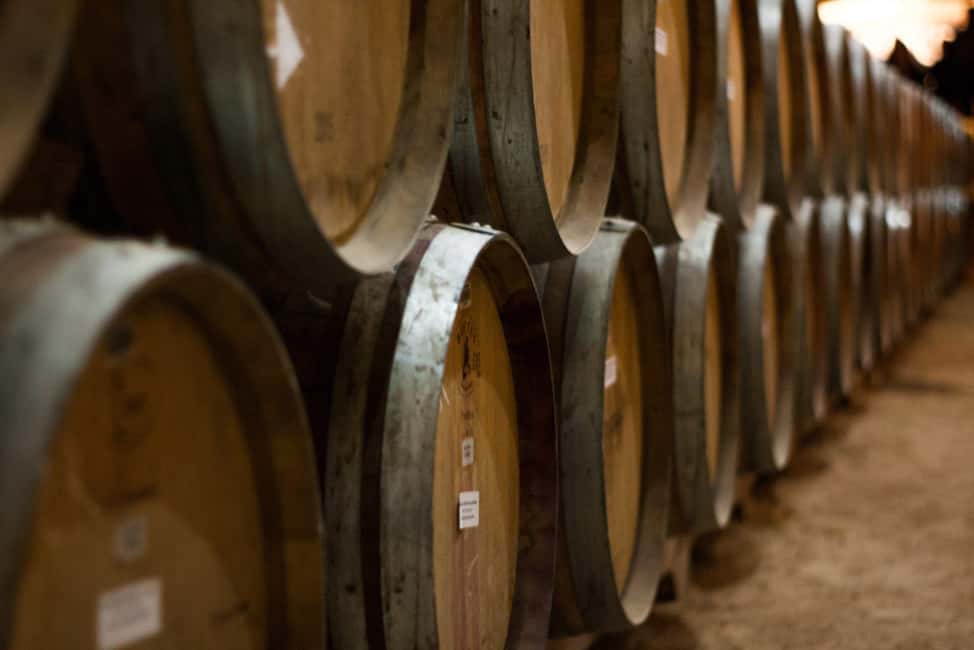 Vancouver: Fraser Valley and White Rock Wine Tour - Who This Tour Suits Best (and Who Might Want Something Different)