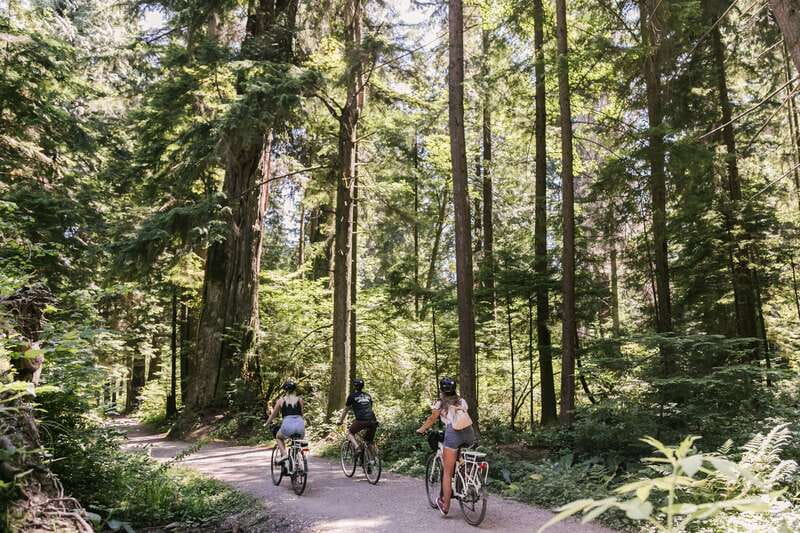 Vancouver: Guided Bike Tour - Stanley Park: Seawall Views, Beaver Lake, and Forest Sights