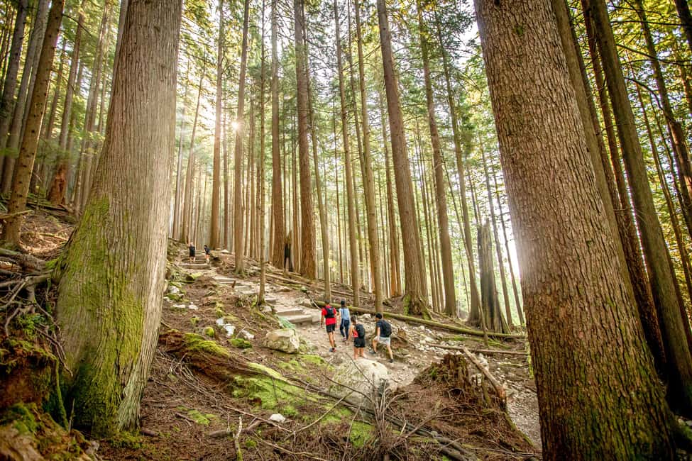 Vancouver: Guided Hiking Highlights at Grouse & Lynn Canyon - Key things to know before you go