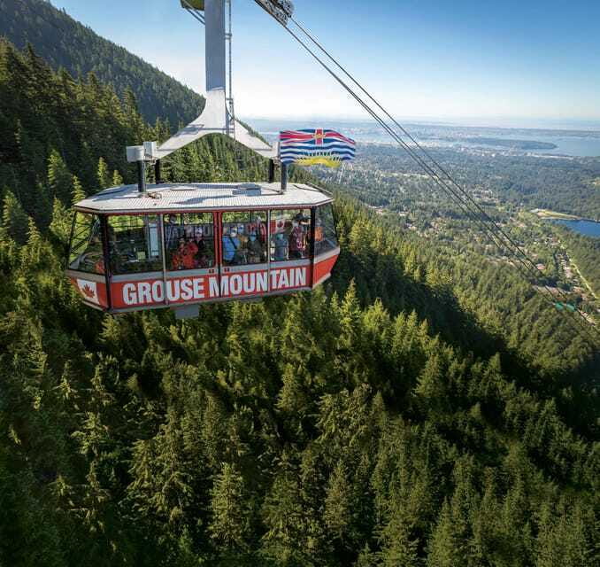 Vancouver: Guided Hiking Highlights at Grouse & Lynn Canyon - Fitness reality check: who this tour suits best