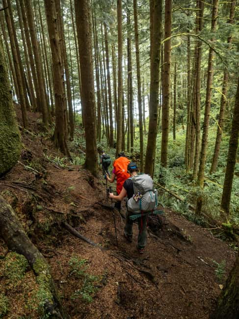Vancouver: Guided Hiking Highlights at Grouse & Lynn Canyon - Grouse Grind: the 2.5 km climb that earns the gondola ride