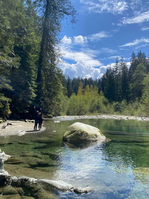 Vancouver: Guided Hiking Highlights at Grouse & Lynn Canyon - Lynn Canyon Suspension Bridge: the 50 m crossing and why it feels different