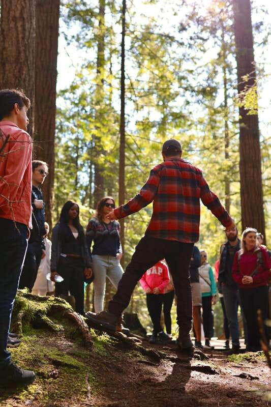 Vancouver: Guided Hiking Highlights at Grouse & Lynn Canyon - How the Lynn Canyon time works in practice (and how to spend it)
