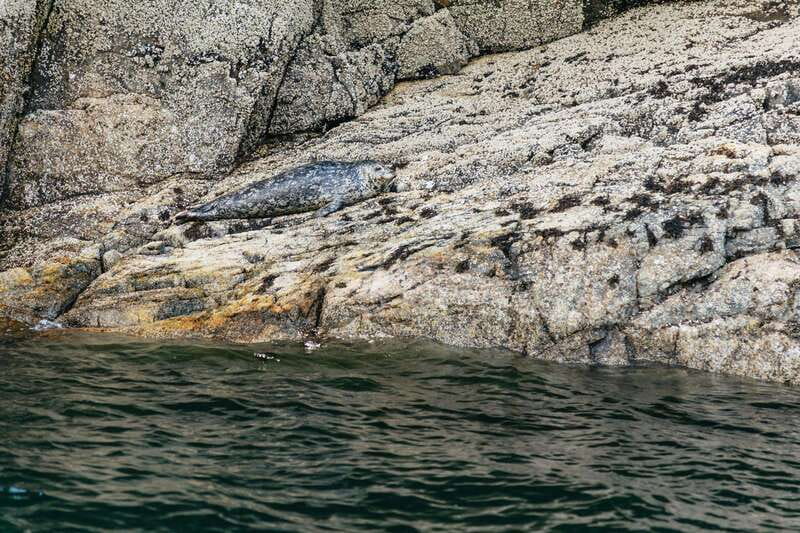 Vancouver: Indian Arm and Granite Falls Zodiac Boat Tour - Siwash Rock to Deep Cove: cliffs, waterfalls, and the story behind the shapes